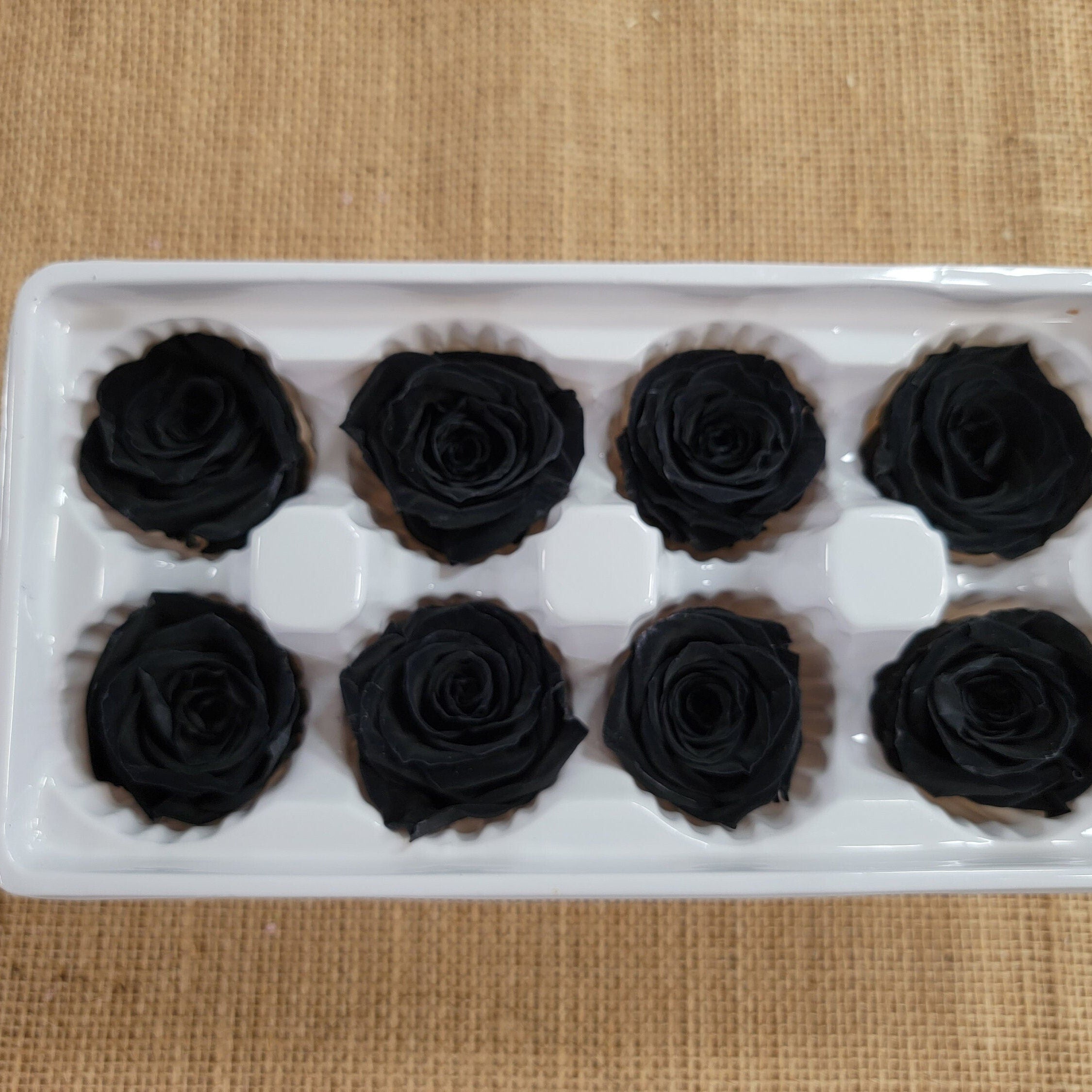 8 Pcs Preserved Black Roses: Rose Kanon Medium, Wedding Floral Decor